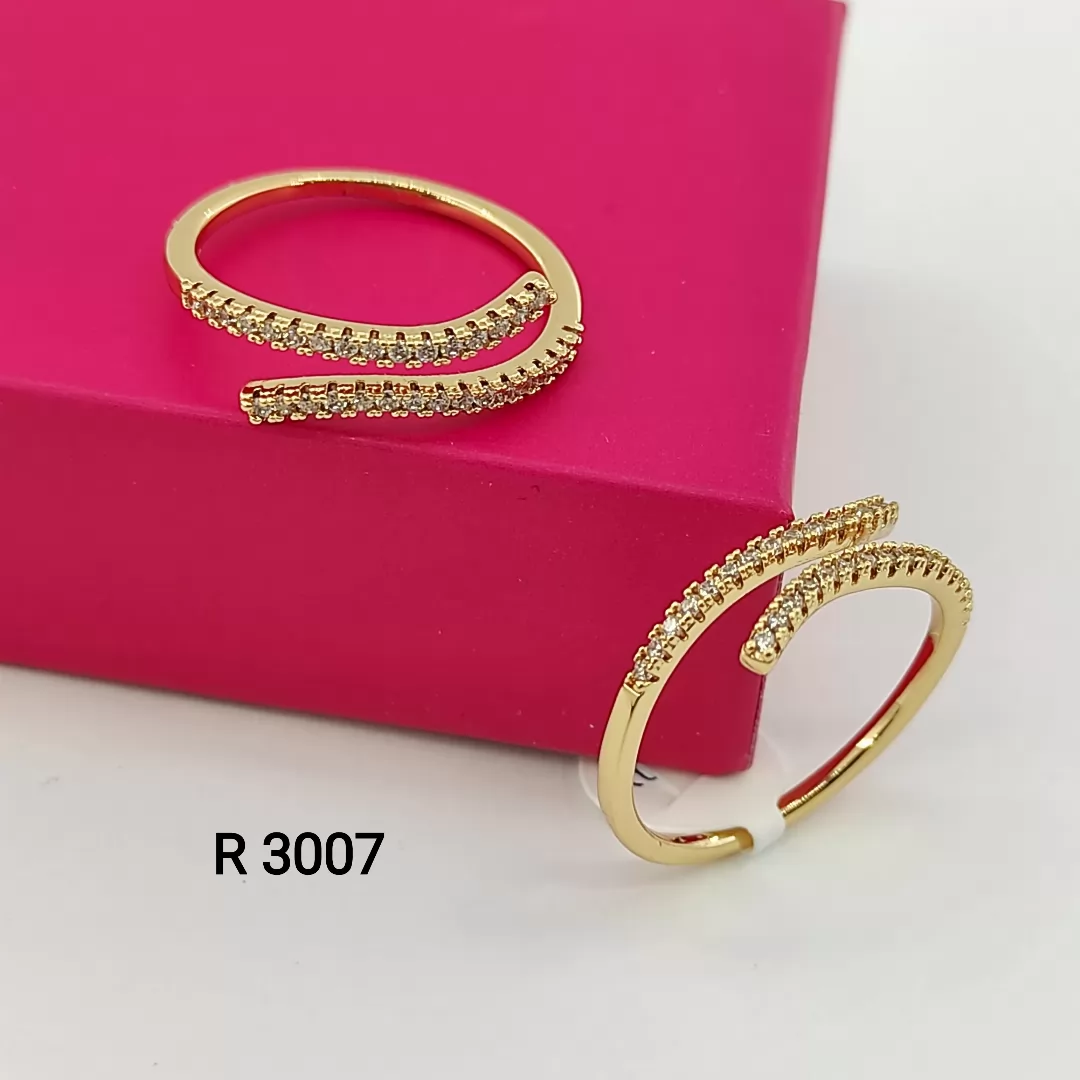 R 3007